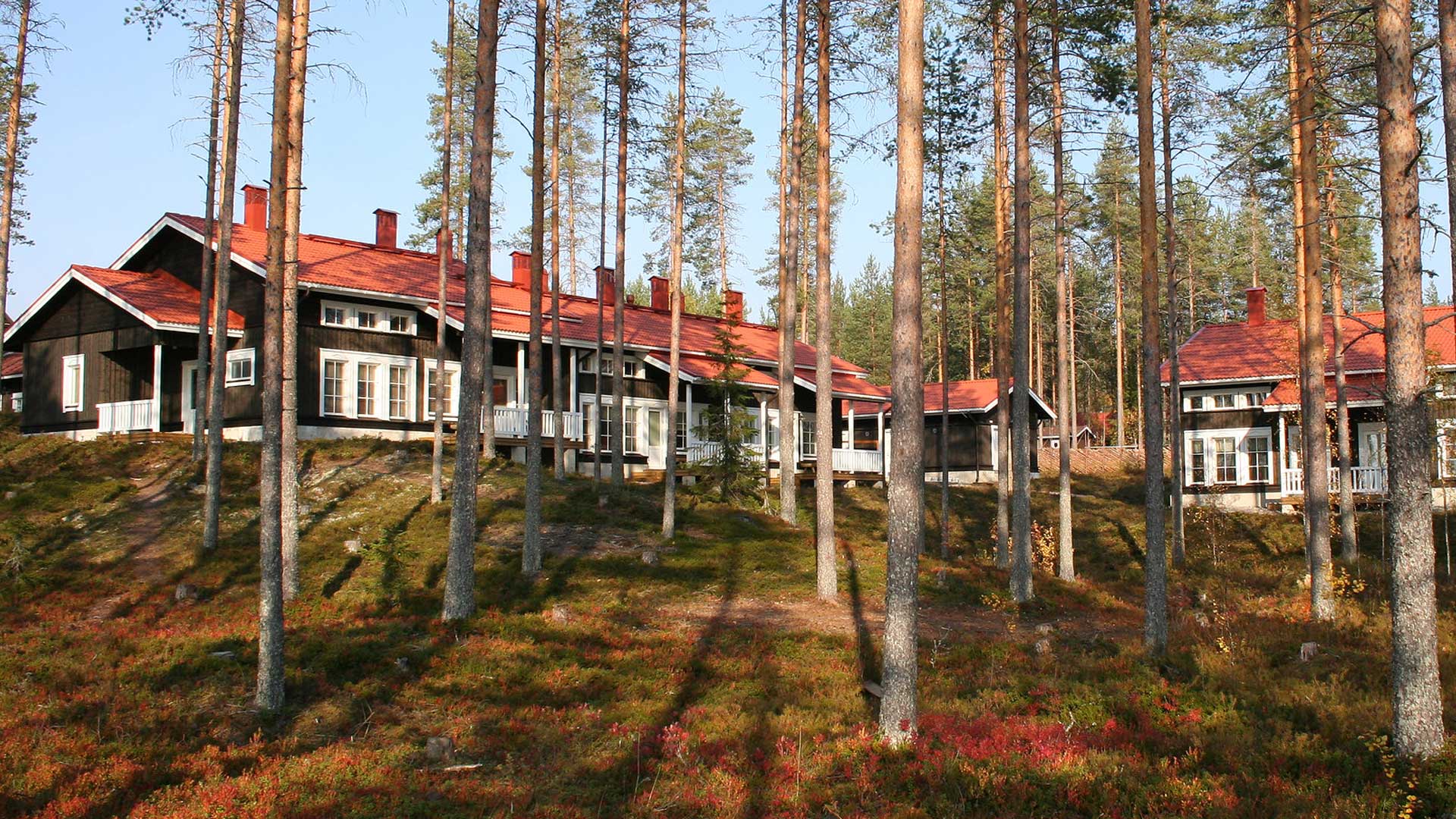 Nuoriso- ja luontomatkailukeskus Metsäkartano Rautavaaralla