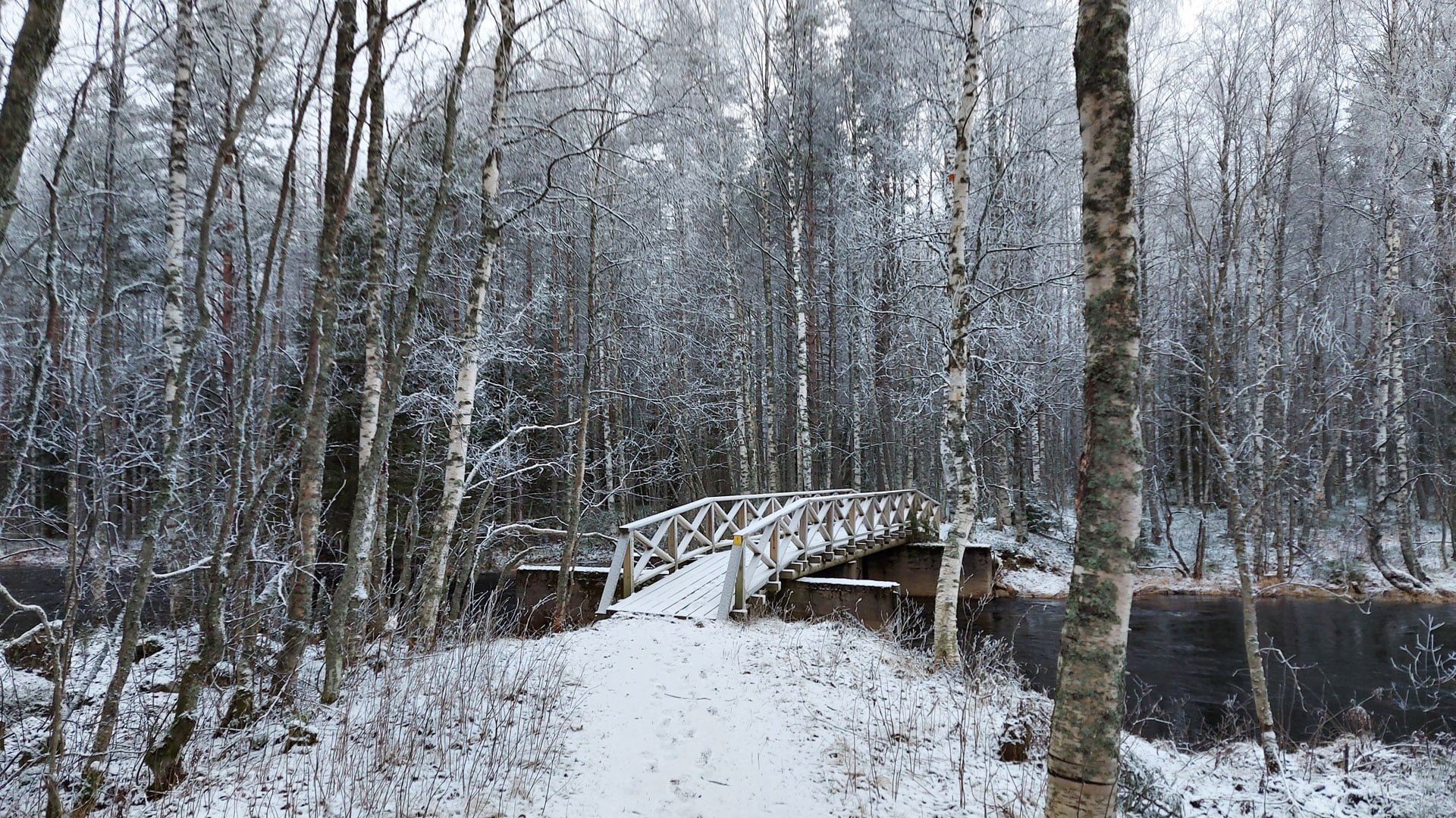 Tiilikkajärven kansallispuisto talvella, Rautavaara